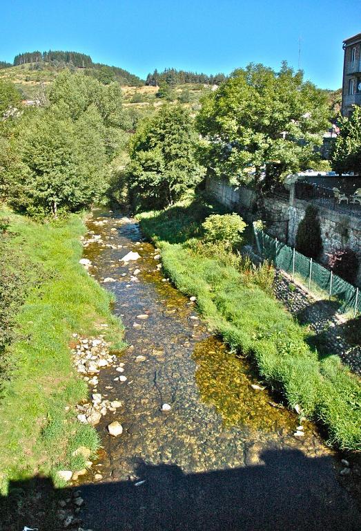 Au Parfum Des Bois Hotell Saint-Cirgues-en-Montagne Exteriör bild